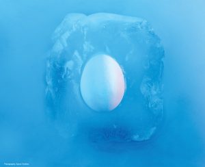The Realities of Freezing Your Eggs